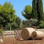 Dimora Caraspi Bed & Breakfast