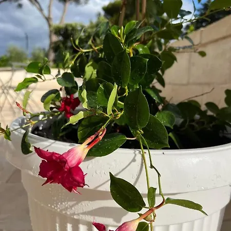 Dimora Caraspi B&B 4*