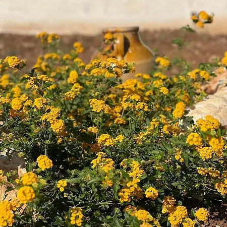 Dimora Caraspi Mola di Bari