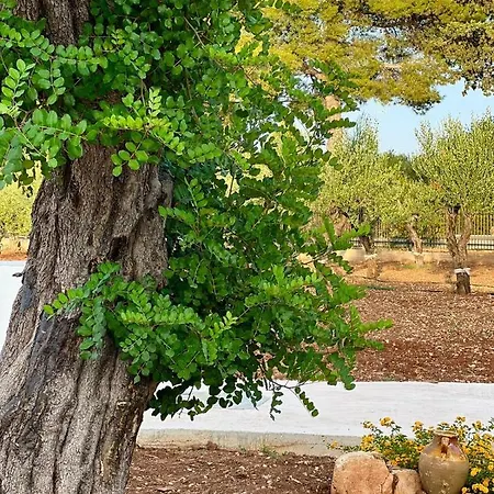 Dimora Caraspi Mola di Bari