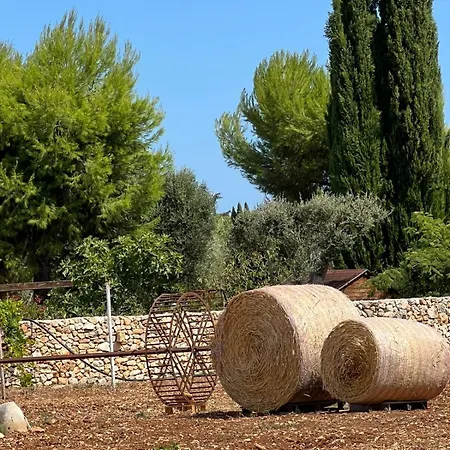 Dimora Caraspi Bed and Breakfast