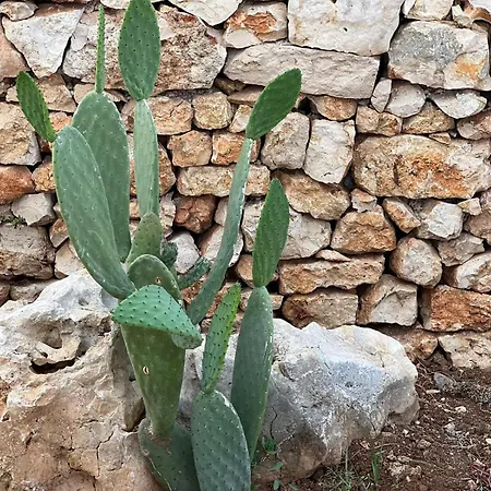 Dimora Caraspi 4* Mola di Bari