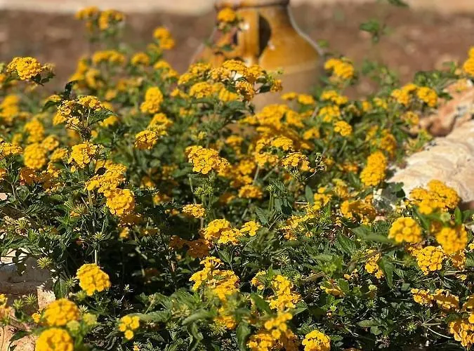 Dimora Caraspi מולה די בארי