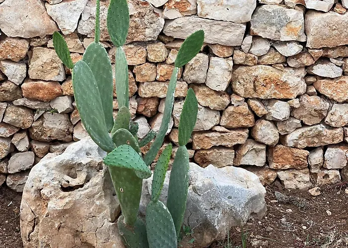 Dimora Caraspi 4* מולה די בארי